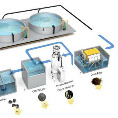 Pure Water Treatment System RAS Rotary Drum Filter for Aquaculture in Fish Farm Ponds
