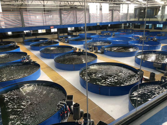Pure Water Treatment System RAS Rotary Drum Filter for Aquaculture in Fish Farm Ponds