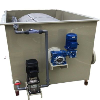 1000LPH Capacity Tilapia Aquaculture RAS Recirculating System for Indoor Fish Farming