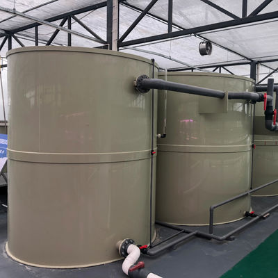 1000LPH Capacity Tilapia Aquaculture RAS Recirculating System for Indoor Fish Farming