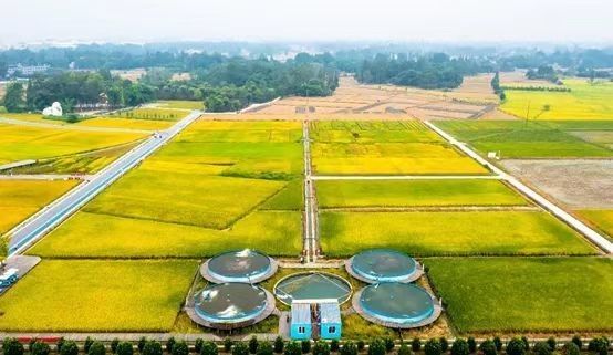 1000LPH Capacity Tilapia Aquaculture RAS Recirculating System for Indoor Fish Farming