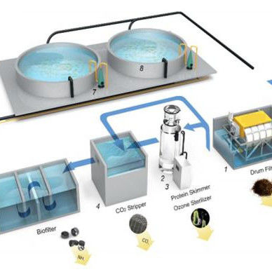 Rotary Drum Filter for Aquaculture Fish Farming Membrane Separation Biological Treatment